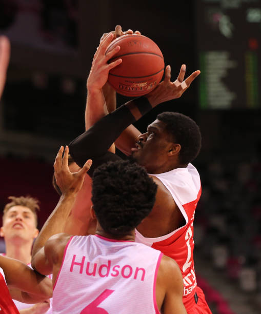 而这场森林 而这场森林